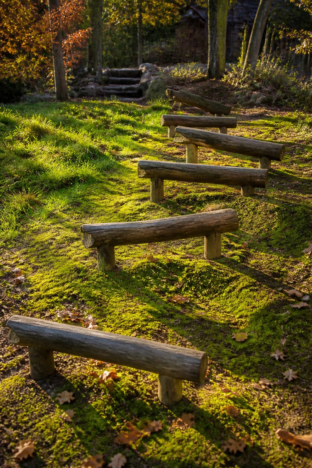 Series of balance beams made from logs set at various heights.