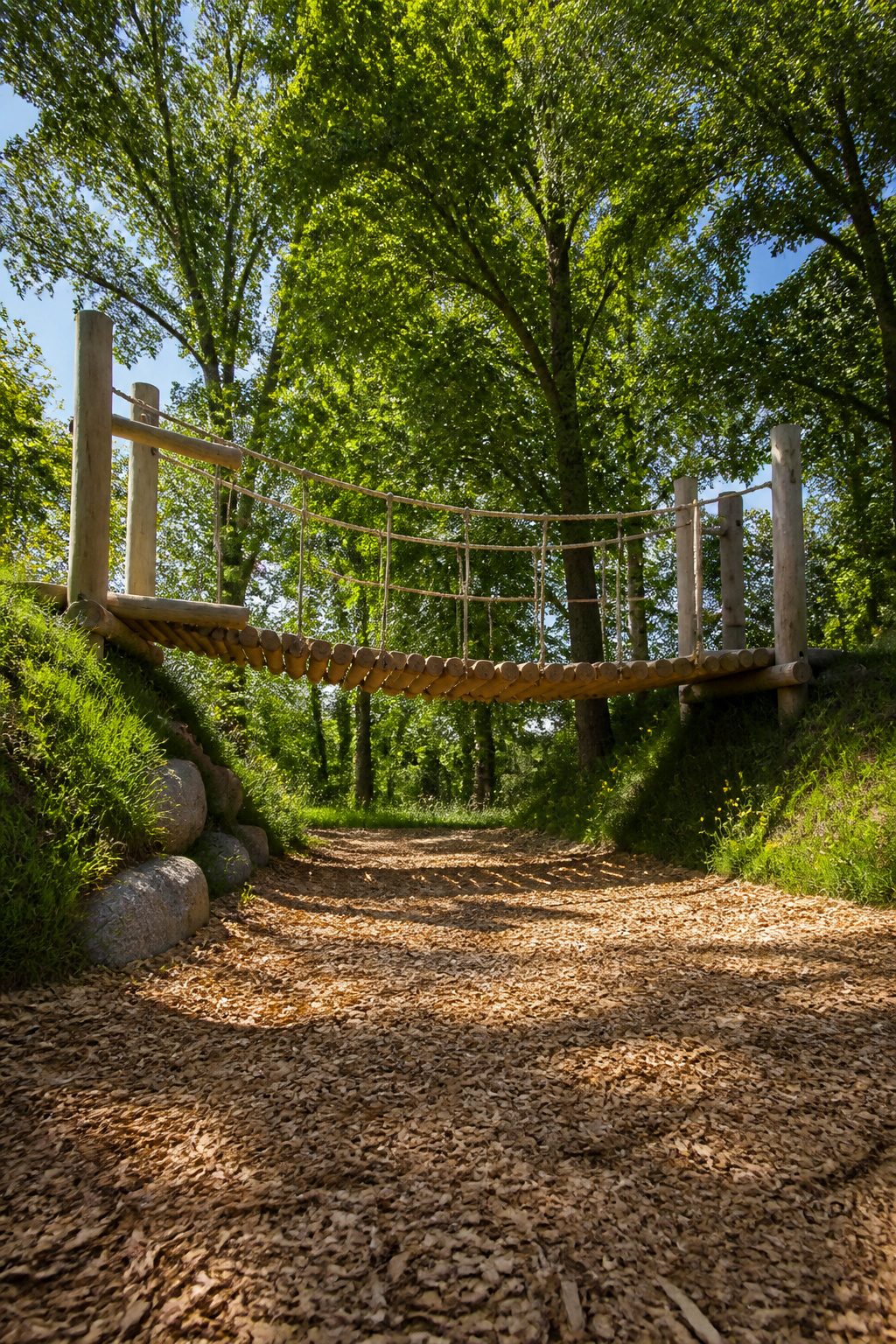 Treehouse and climbing elements in a natural playground.