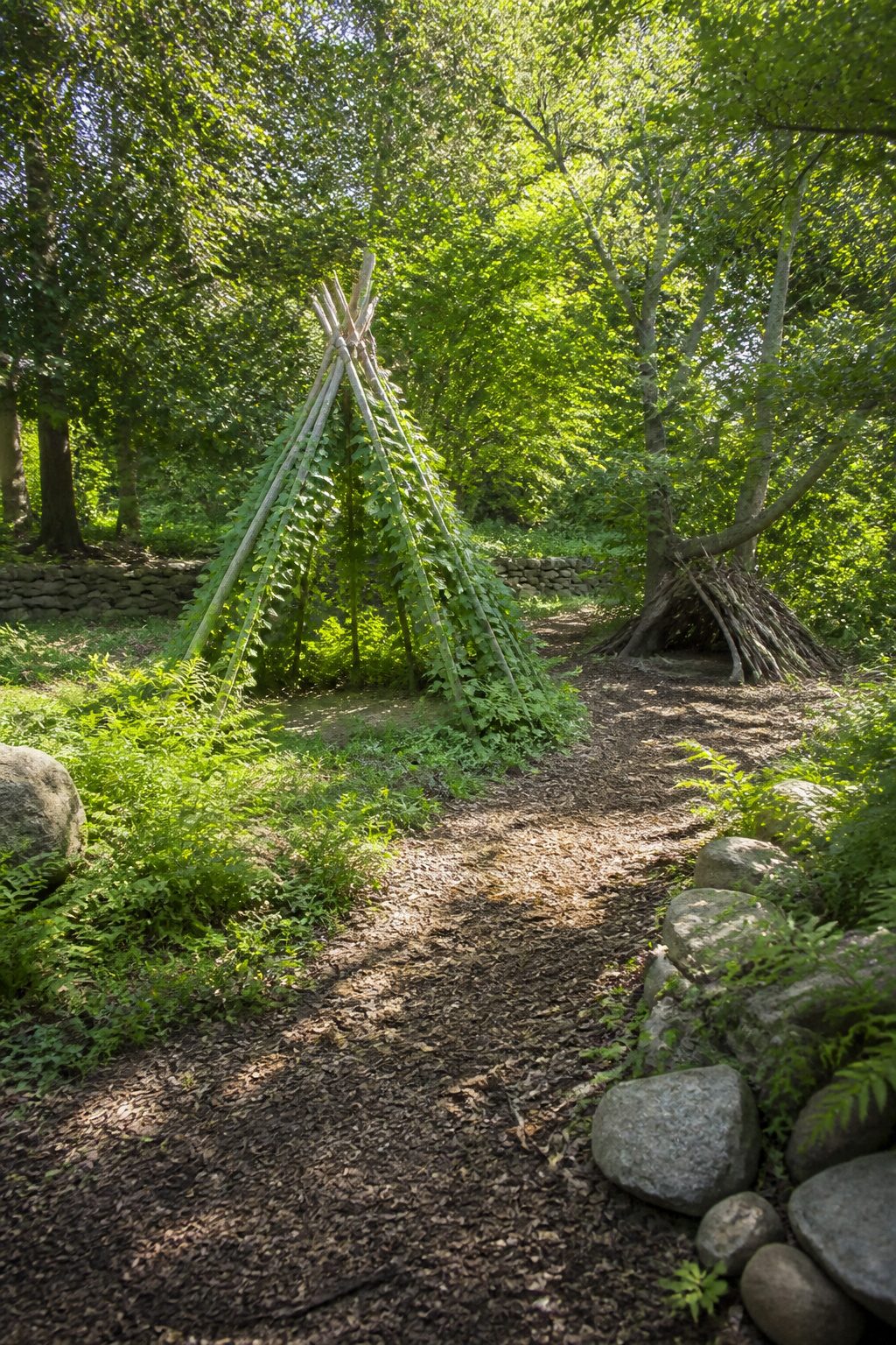 Bean teepee made from poles and climbing plants in a playground.